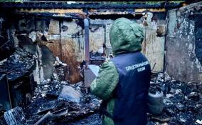 Уголовное дело завели после гибели 13-летнего подростка в деревне Борисова Грива
