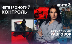 Как служебные собаки помогают таможенникам