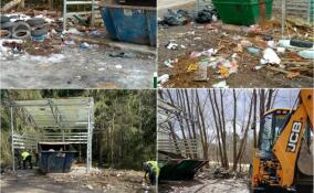 В Вырице навели порядок у контейнерных площадок: устранены крупные захламления