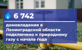 В Ленобласти с начала года газ подключили к 6,7 тыс. домов