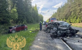 По факту смертельного ДТП в Тихвинском районе возбуждено уголовное дело