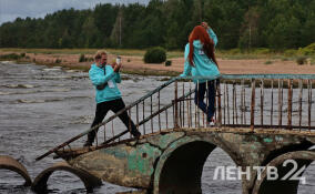 Небольшие дожди с грозами ожидаются в Ленобласти 3 июня