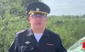 Водитель Lada Largus погиб при столкновении с грузовиком в Кингисеппском районе