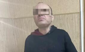 Жителя Отрадного задержали за ограбление отца