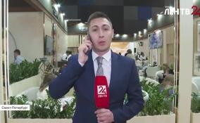 На ПМЭФ-2026 эксперты обсудят, как демография и образование формируют кадры будущего