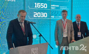 Во Всеволожском районе до 2030 года появится туристический квартал площадью почти 30 га