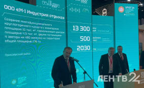 Всесезонный курорт за 13,3 млрд рублей построят в Приозерском районе