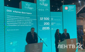 В Волосовском районе появится научно-промышленный комплекс переработки овощей