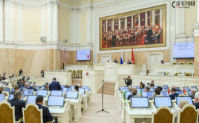Петербургским спортсменам компенсируют расходы на обучение