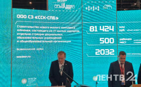 17 домов, детсады и школа: в Новосаратовке построят ЖК «Имена» за 81,4 млрд рублей