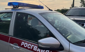 Пьяный рецидивист крушил машину бывшей возлюбленной в Петербурге