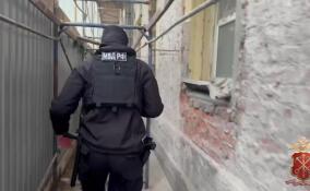 Полицейские проверили мигрантов-ремонтников на улице Правды в Петербурге
