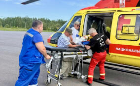 В Ленобласти санавиация выполнила 149 вылетов с начала года