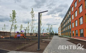 В Янино-1 откроется школа на 1100 мест