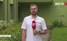 В Выборгском районе проходит акция «Чистые леса Ленинградской области»