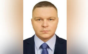 Комитет правопорядка и безопасности Ленобласти возглавил Андрей Гаврилов