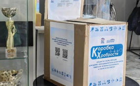 В Гатчинском округе установили «Коробки храбрости»