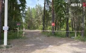 Александр Дрозденко сообщил о постепенном восстановлении транспортного сообщения в Ломоносовском районе