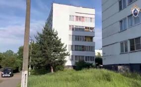 Падение ребенка из окна в Синявино обернулось уголовным делом