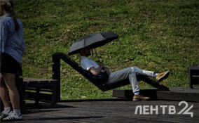 До +29, возможны дожди: прогноз погоды в Ленобласти на 12 июня