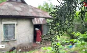 Ленинградские сестры милосердия помогают жителям ДНР