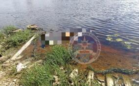 Спасатели извлекли тело мужчины из реки Волхов