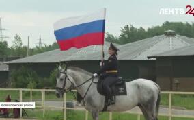 Во Всеволожском районе прошел первый международный конный фестиваль