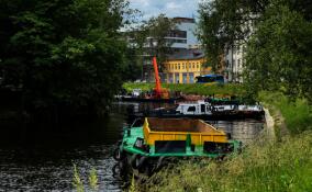 Чёрную речку в Петербурге планируют полностью расчистить к 2027 году