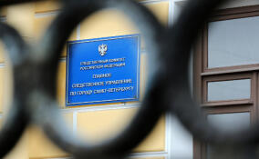 Петербургского бизнесмена Илью Трабера везут на допрос в столицу