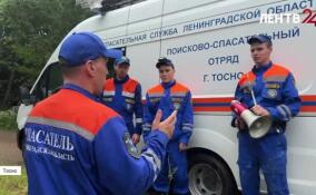 Спасатели напомнили основные правила поведения в лесу