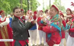 Русские щи, караван дружбы и вепсские куклы: в Ленобласти прошел туристический слет серебряных добровольцев