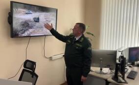 В лесах Ленобласти нарушителей выявляют с помощью 92 фотоловушек