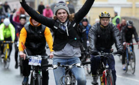 В Ленобласти пройдёт второй этап велозаезда Tour de Russie