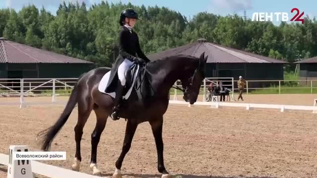 В Энколово стартовало первенство СЗФО по выездке