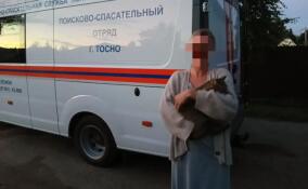 Тосненские спасатели сняли с дерева домашнего кота