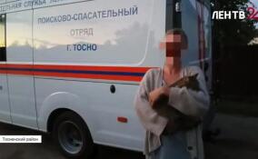 В Тосненском районе спасли кота