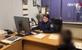 В Ленобласти несовершеннолетнего признали виновным в совершении преступлений против общественной безопасности