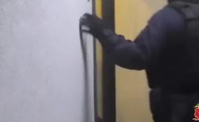 Сотни сим-карт и наркотики: в Петербурге задержали пособника мошенников