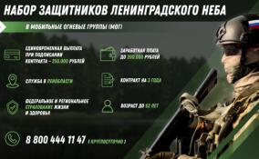 Условия службы в МОГ Ленобласти: зарплата, единовременные выплаты и премии за сбитые дроны