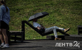 Небольшие дожди и до +22 градусов: о погоде в Ленобласти 25 июня