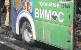 Во Всеволожске потушили горящий автобус