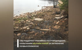 Администрацию Приморска оштрафовали на 12,4 млн рублей за загрязнение Финского залива