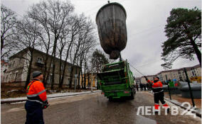 Почти 200 новых контейнерных площадок создадут в Ленобласти в этом году