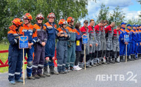 Соревнования по поисково-спасательным работам собрали почти 50 спасателей Ленобласти и Петербурга