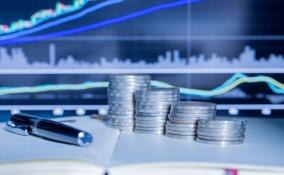 Финансовые эксперты узнали, что в портфеле у зумера
