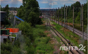 18-летний парень попал под поезд в Петербурге