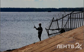 В Ленобласти для купания пригодны только три водоема