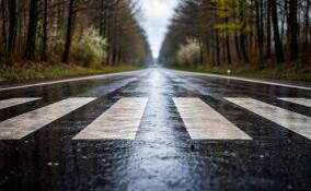 За выходные в Ленобласти произошло 233 ДТП, два человека погибли