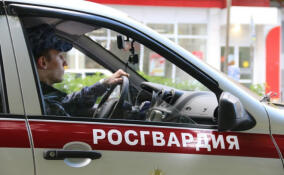 Незадачливый вор-домушник попался стражам порядка в Отрадном