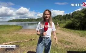 Во Всеволожском районе стартовал ежегодный фестиваль банной культуры